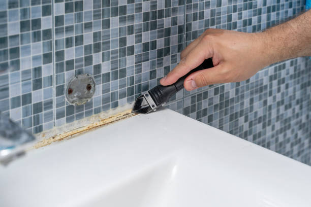 Best Mold Remediation for Schools in Cedville, AR