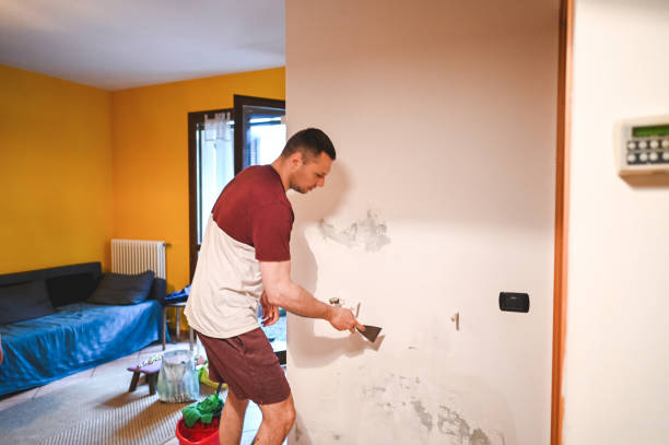 Best Residential Mold Remediation in Cedville, AR